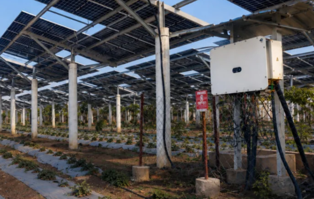 Agrivoltaics Plant Khare Energy